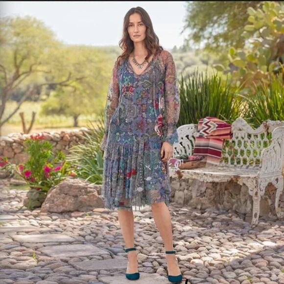 JOHNNY WAS Biya Wilde Mesh Dress Embroidered Boho Size XS Petite Floral Fall - Picture 14 of 15